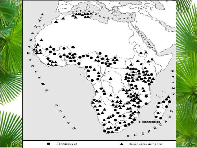 Национальные парки африки карта