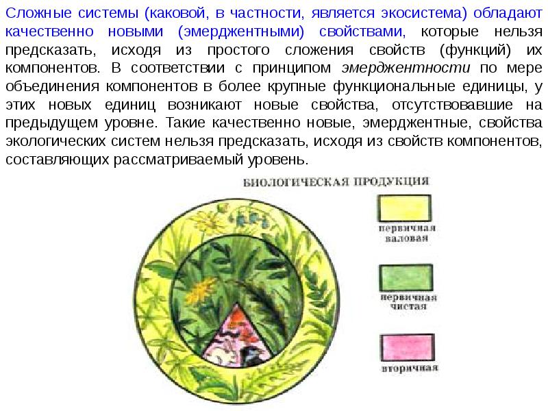 Экосистемный уровень функции. Экосистемный уровень жизни. эмерджентные свойства экосистем. экосистемный уровень организации жизни. какими свойствами обладает экосистема.