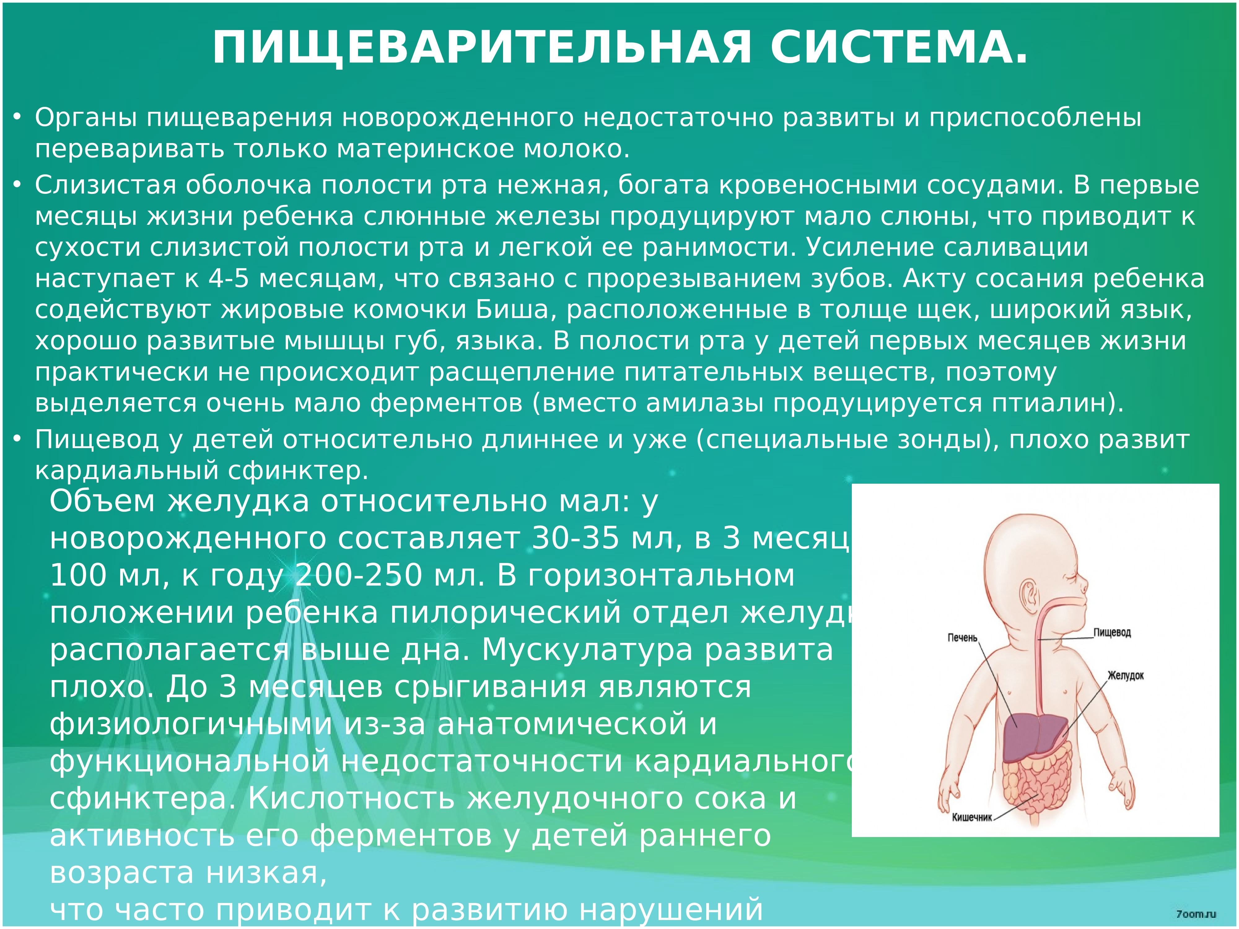 Системы ребенка. Пищеварение новорожденного ребенка. Пищеварительная система для детей. Пищеварительная система у новорожденных. Афо органов пищеварения грудного ребенка.