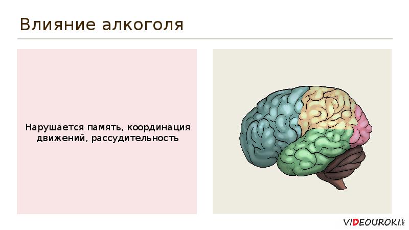 Проект влияние алкоголя и никотина на организм подростка