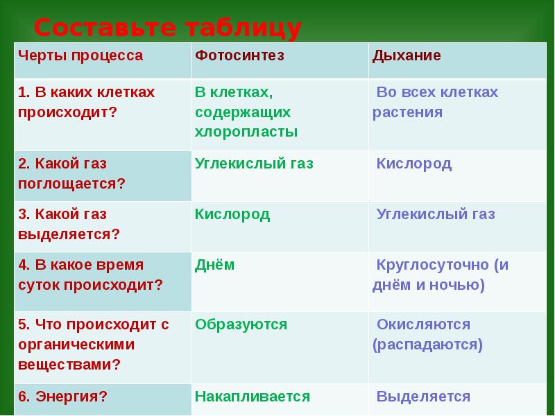 Тест по фотосинтезу. Фотосинтез и дыхание таблица биология 6 класс. Таблица по биологии 6 класс фотосинтез и дыхание. Черты процесса фотосинтез дыхание. Дыхание это процесс биология 6 класс.