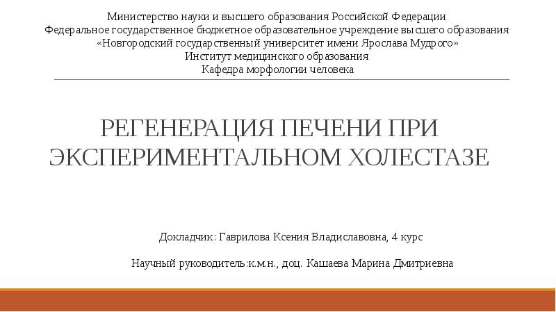 матрица регенерация печени