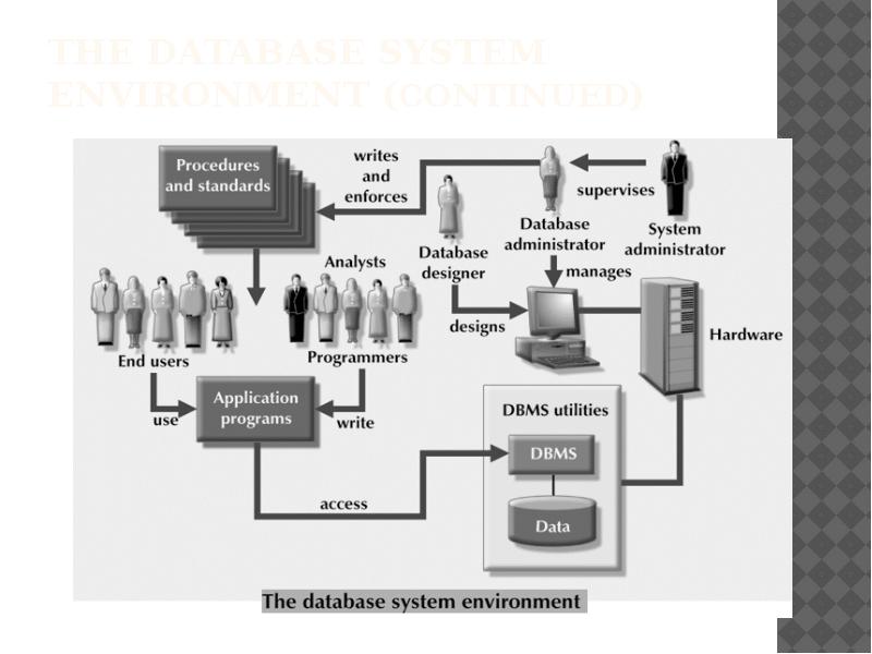 The Database System Environment (continued) The Database System Environment (continued)