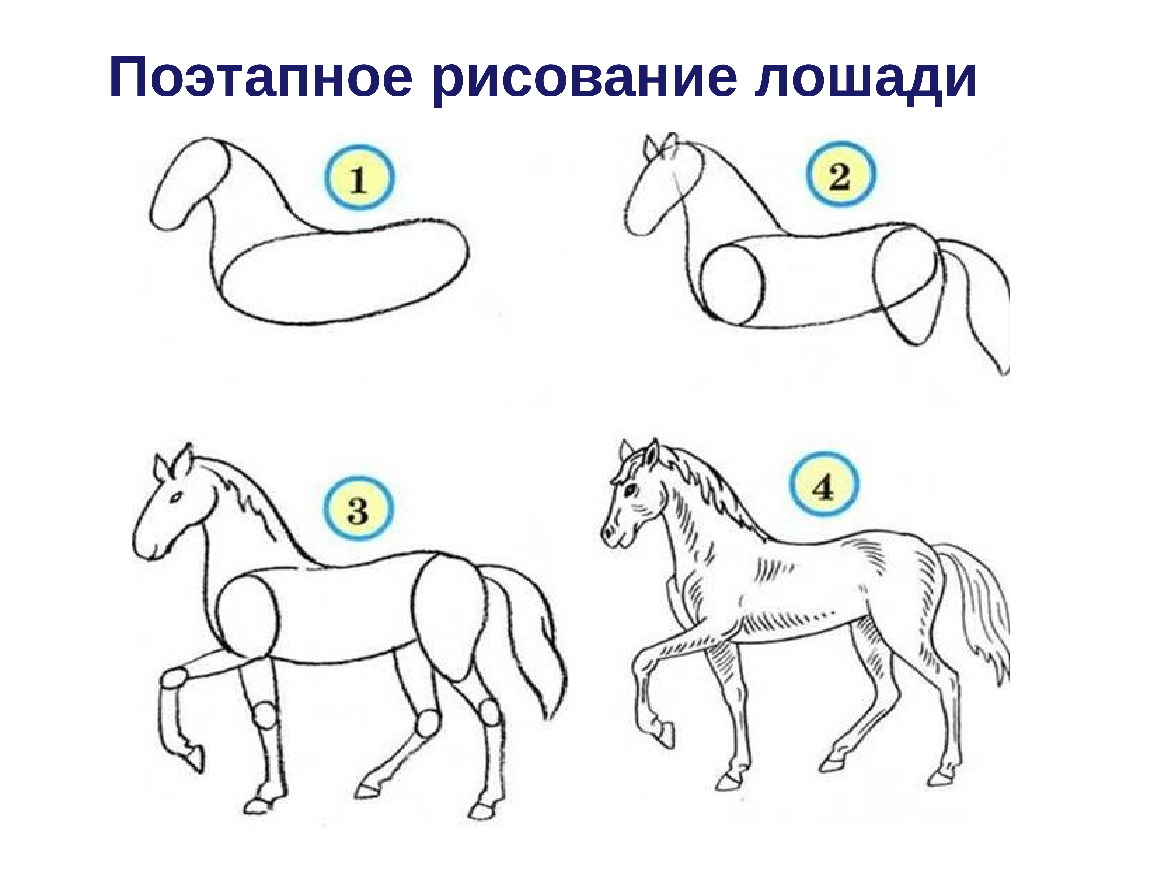 Изо 7 класс презентация поэтапное рисование