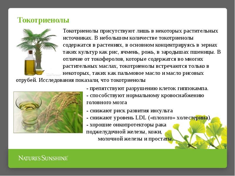 в небольшом количестве растительного. академия здорового питания. диагностика железодефицита картинки. распределение нитратов в овощах. растительные белки продуктов.