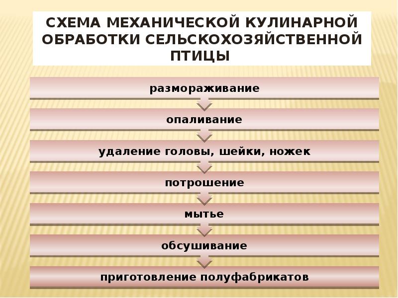 Схема первичной обработки домашней птицы