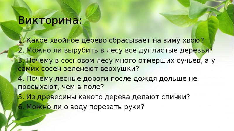 Незнакомая и знакомая природа картинки