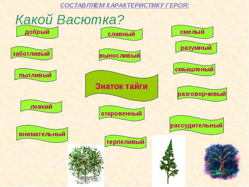 План характеристики васютки