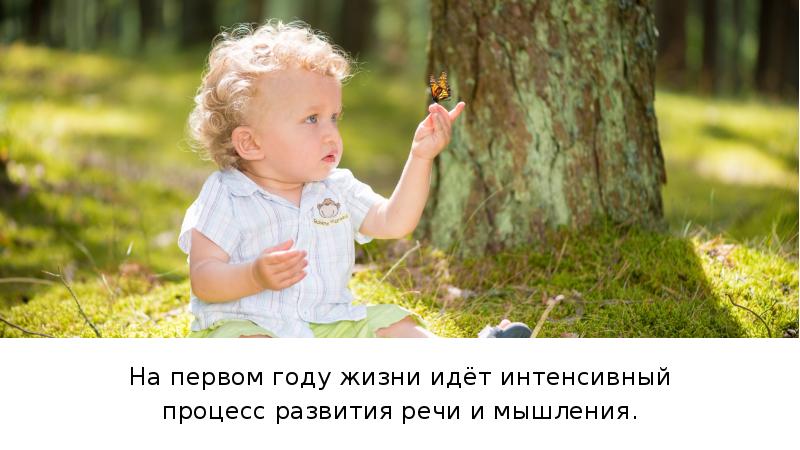 Посвятил свою жизнь изучению. Посвятил свою жизнь изучению