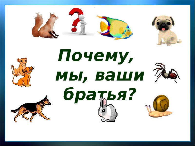 Цап царапыч пляцковский 1 класс презентация