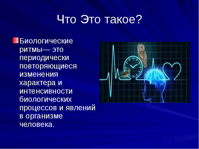 Биологические ритмы сон и его значение