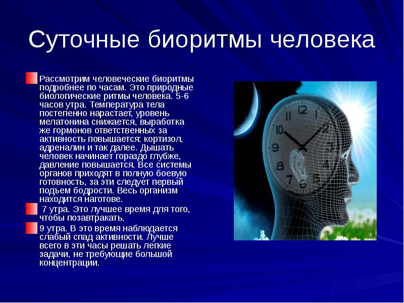 Человека час что это. Биоритмы циркадные ритмы. Суточные биологические часы. Суточный ритм человека. Суточные биоритмы человека.