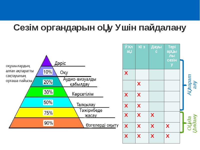 Схема запоминания информации