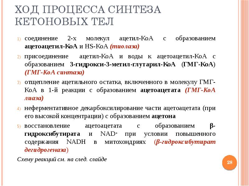 Ход процедуры. Ход процесса. Кетоновые тела функции. Протокол липолиза. Глутарил КОА дегидрогеназы.