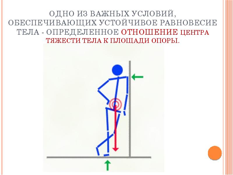 Биомеханика человека проект