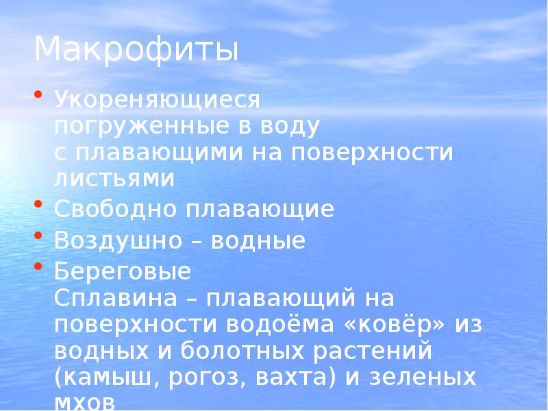 Водная экосистема презентация