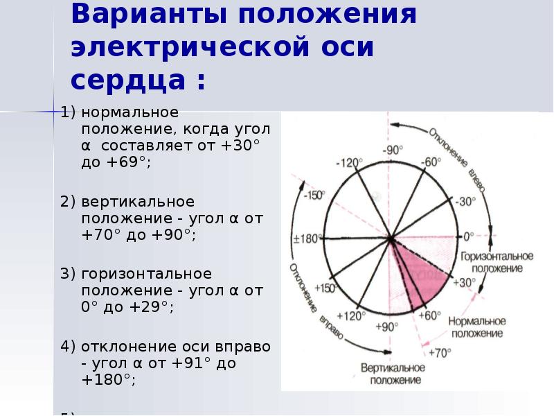 Положение оси сердца