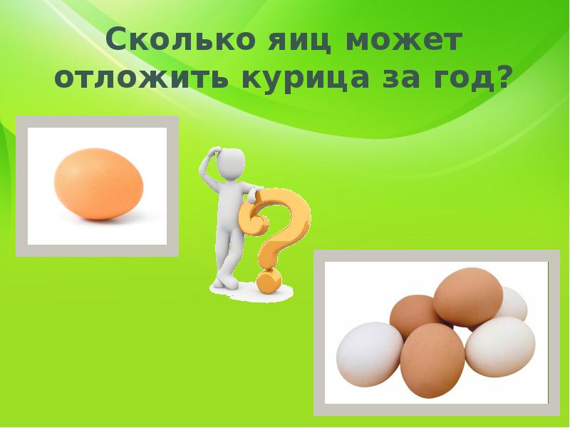 Задача сколько яиц. Сколько яиц может отложить курица. Сколько яиц можно в год. Яйца могут откладывать представители. Сколько яиц можно есть в день.