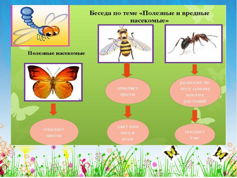 Насекомые презентация. Презентация: «насекомые нам нужны» для детей.. Экология насекомых реферат. Учебник тема насекомые. Исследования насекомых презентация для детей 5-6.