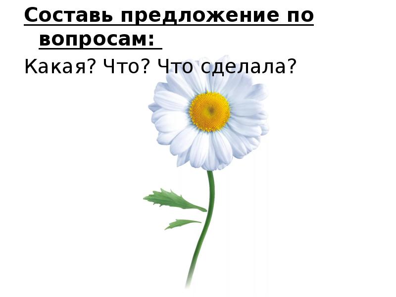 Составь предложение по вопросам:
Составь предложение по вопросам:
Какая? Составь предложение по вопросам:
Составь предложение по вопросам:
Какая?