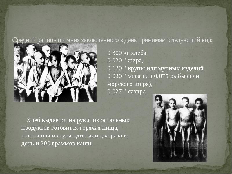 Средний рацион питания заключенного в день принимает следующий вид: Средний рацион питания заключенного в день принимает следующий вид: