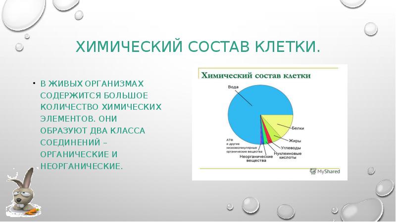 Вещества входящие в состав клетки