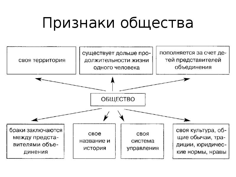 Обществознание схемы 8 класс