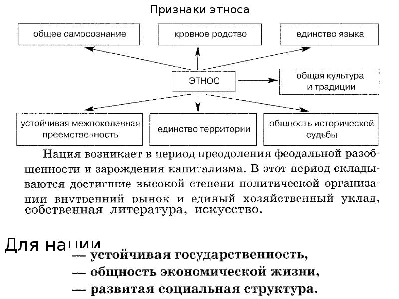 Виды этносов схема