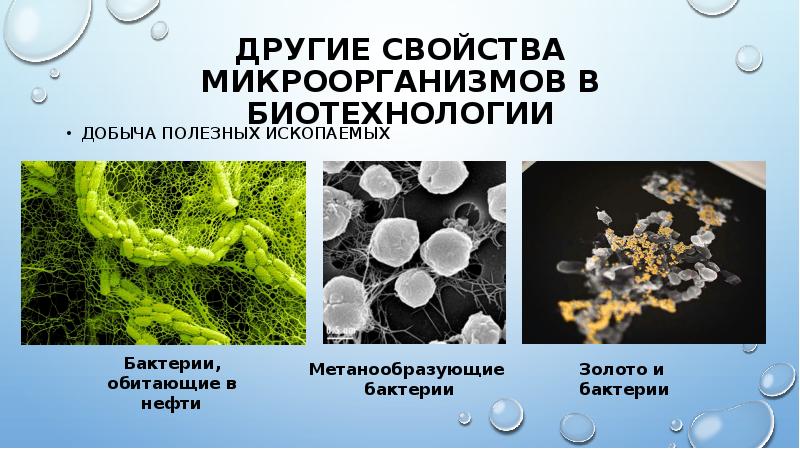 Схема применение микроорганизмов