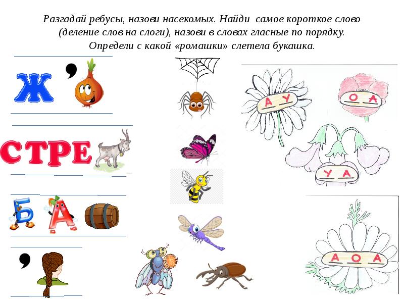 Насекомые ребусы в картинках