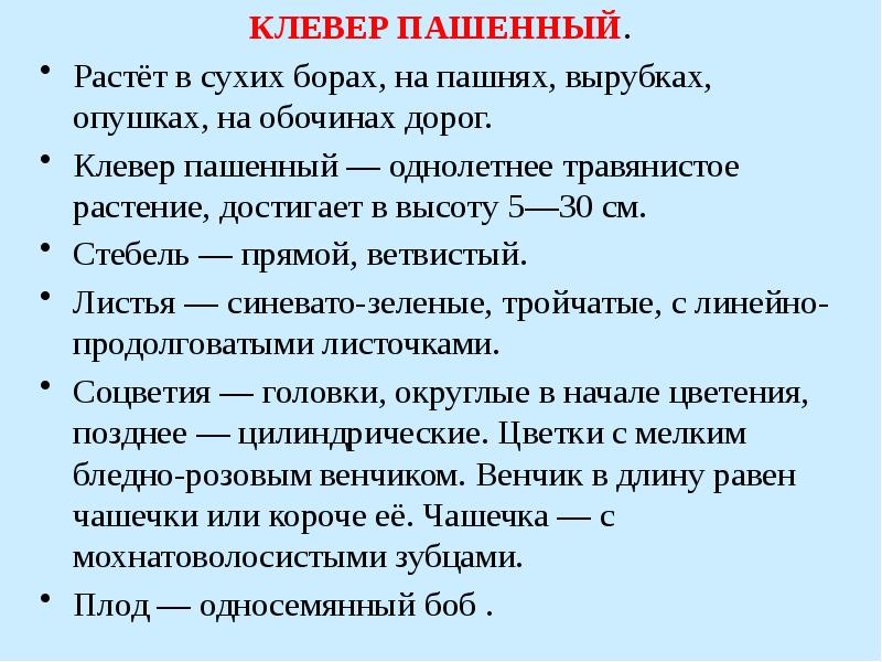 КЛЕВЕР ПАШЕННЫЙ.
КЛЕВЕР ПАШЕННЫЙ.
Растёт в сухих борах, на КЛЕВЕР ПАШЕННЫЙ.
КЛЕВЕР ПАШЕННЫЙ.
Растёт в сухих борах, на