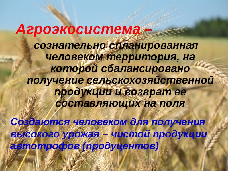 Презентация агроценозы применение экологических знаний в практической деятельности человека