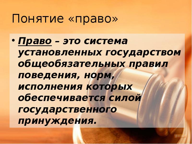 Право это система установленных государством общеобязательных правил