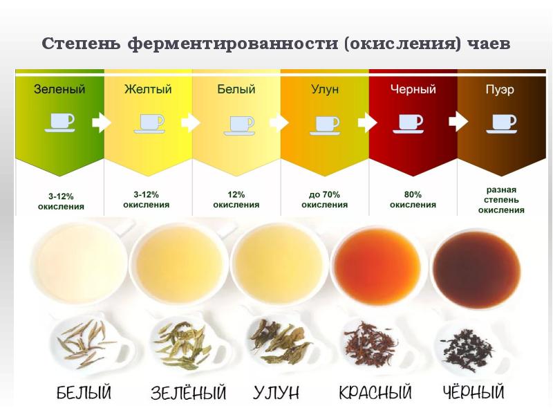 Степень ферментированности (окисления) чаев Степень ферментированности (окисления) чаев