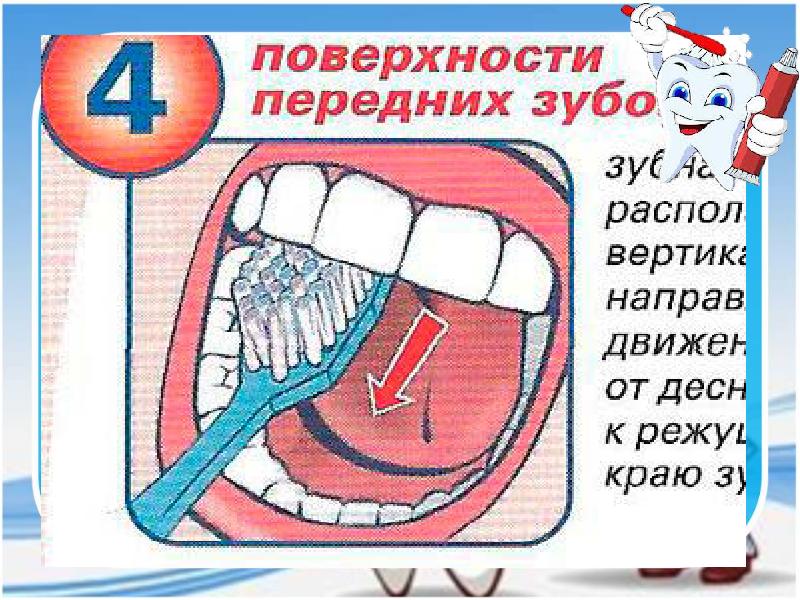 Тест почему нужно чистить зубы и мыть руки презентация 1 класс окружающий мир плешаков