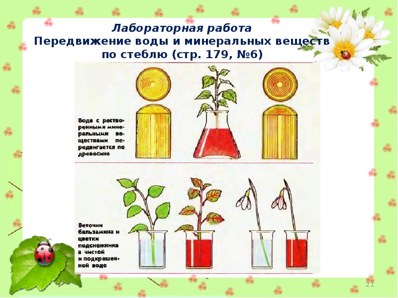 Передвижение по воде 1 класс технология презентация