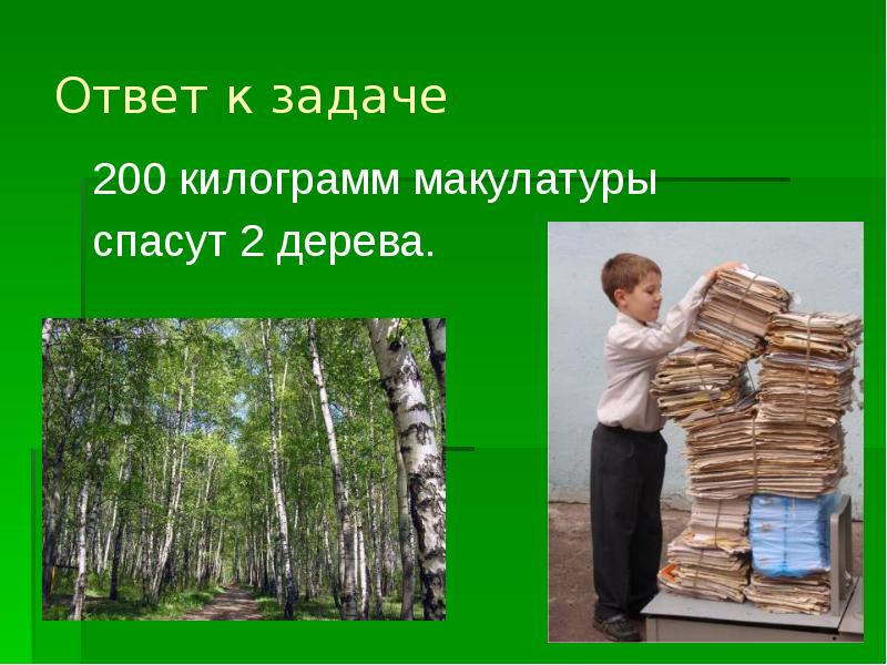 Картинка 100 кг макулатуры спасают 1 дерево