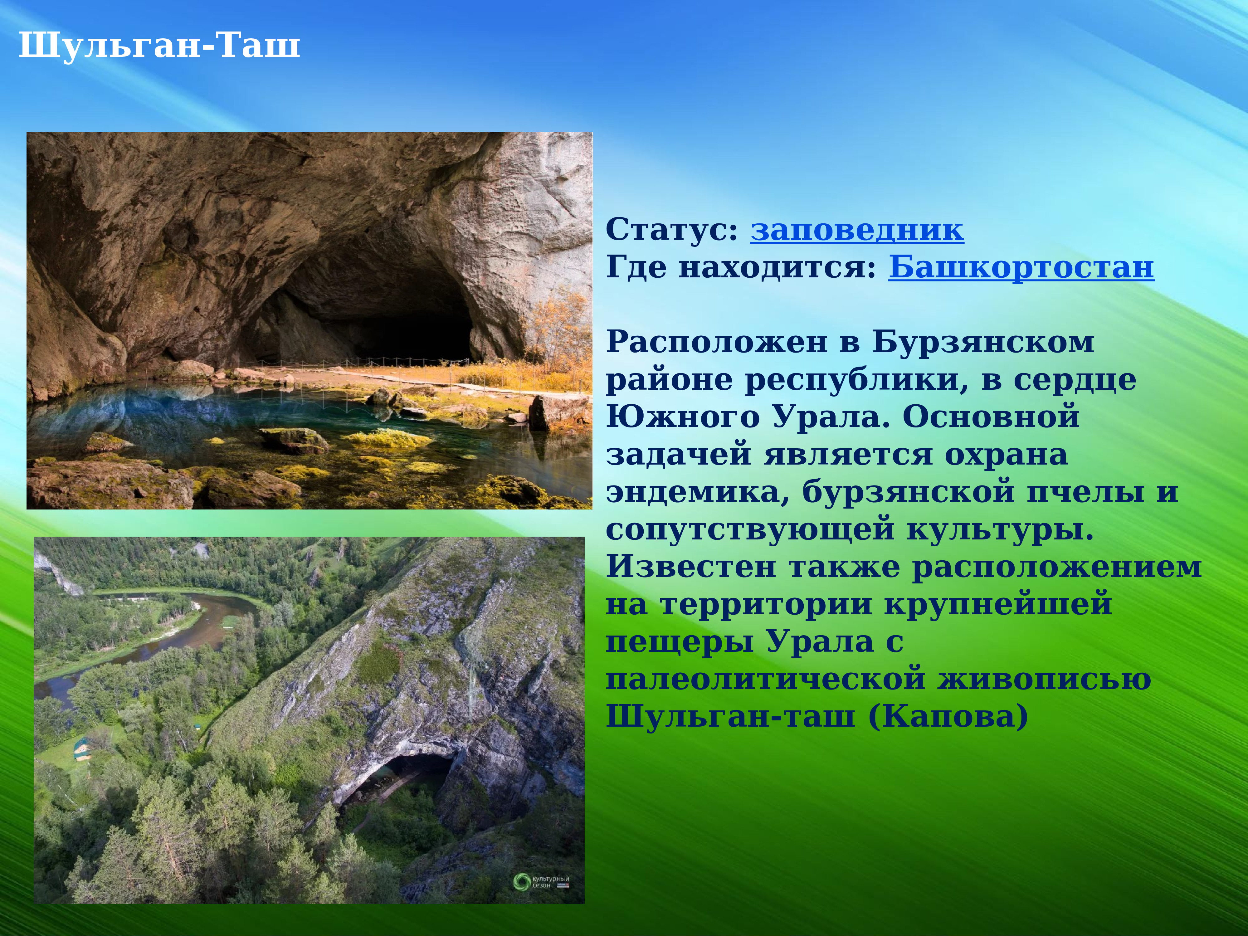 Какие объекты находятся под защитой. Шульган-Таш заповедник. Шульган Таш Башкирия. Башкортостан пещера Шульган-Таш. Заповедник Шульган-Таш пещера.