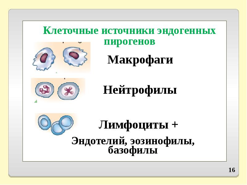 Клеточные источники. Источники эндогенных пирогенов. Источники вторичных (истинных) пирогенов. Эндогенные клетки. Клетки источники вторичных пирогенов.