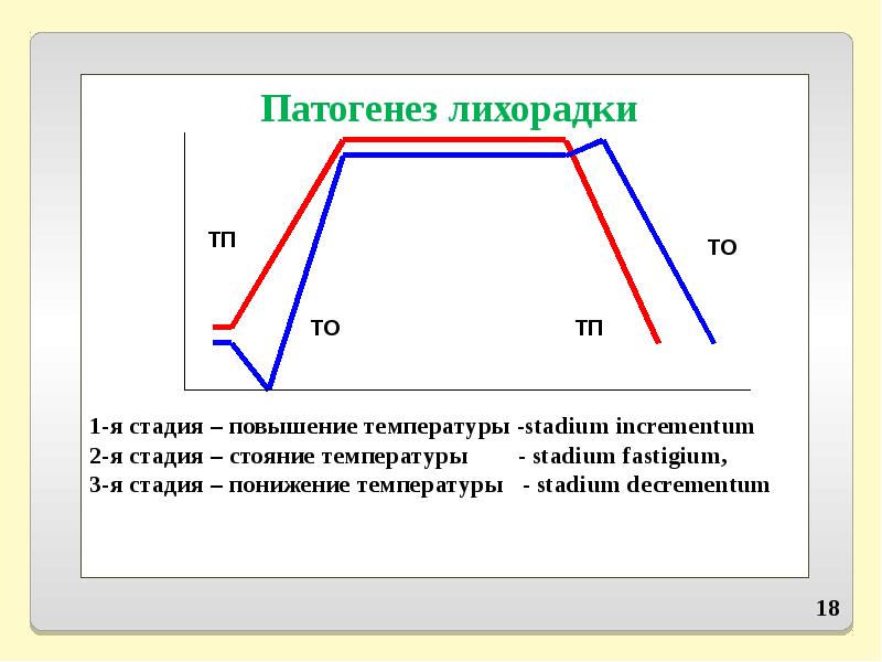 Схема патогенеза лихорадки