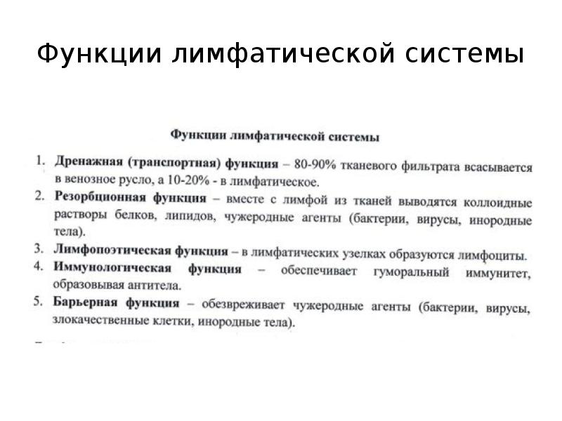 Функции лимфатической системы. Дренажная функция лимфатической системы. Лимфососуды функции. Лимфангион функции.