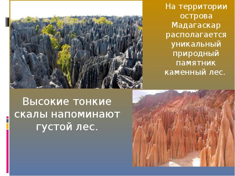 Находиться уникальный. Остров Мадагаскар находится в поясах, в области.