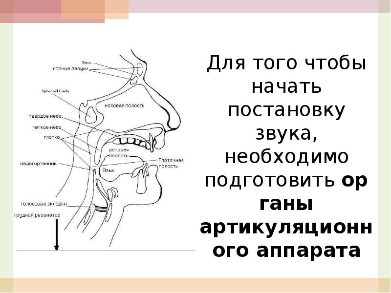 Постановка звука л презентация индивидуального занятия