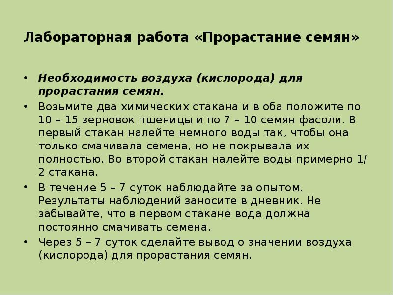 Лабораторная работа «Прорастание семян» Необходимость воздуха (кислорода) для прорастания семян. Возьмите