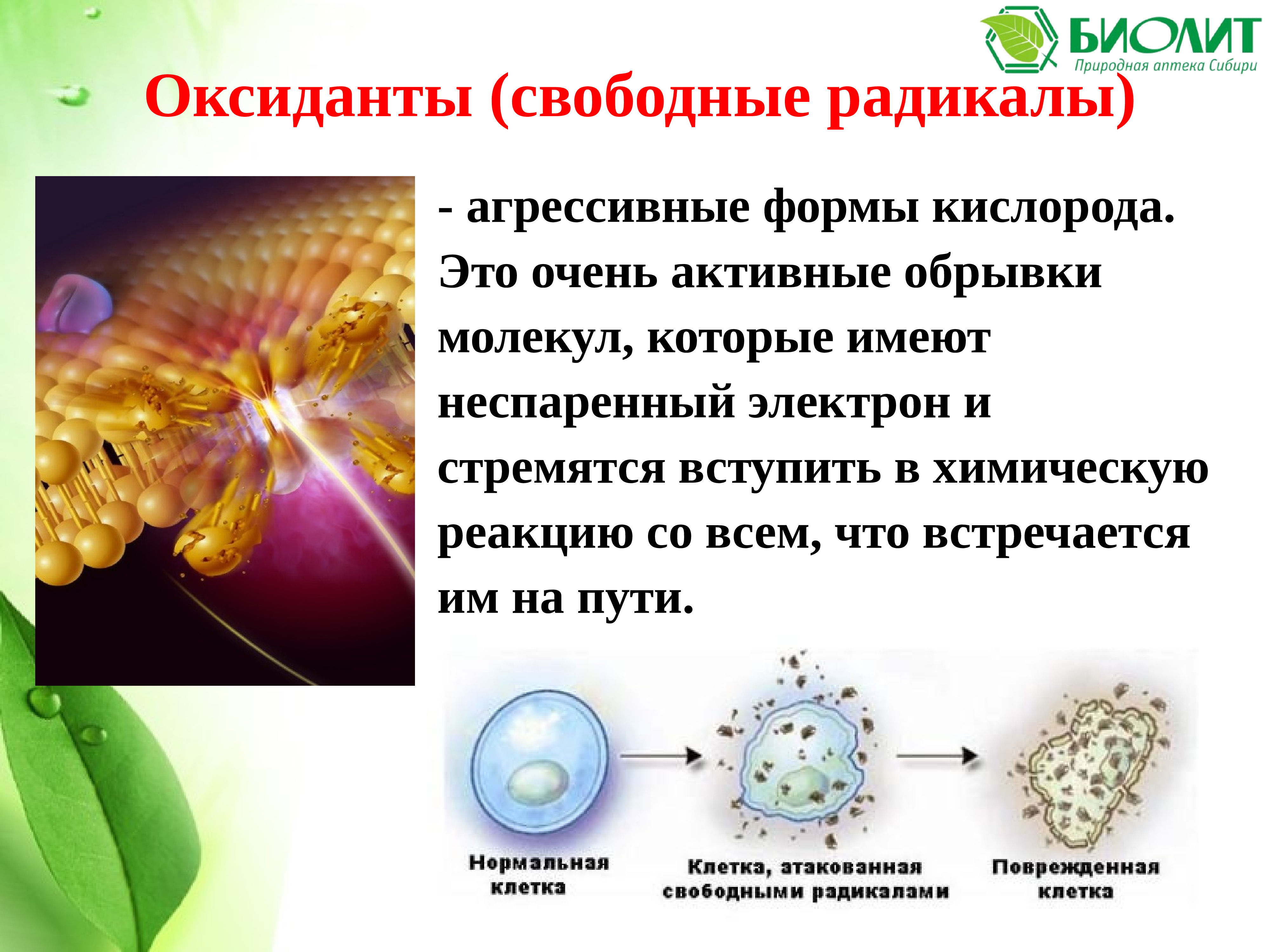 Свободные радикалы картинки для презентации