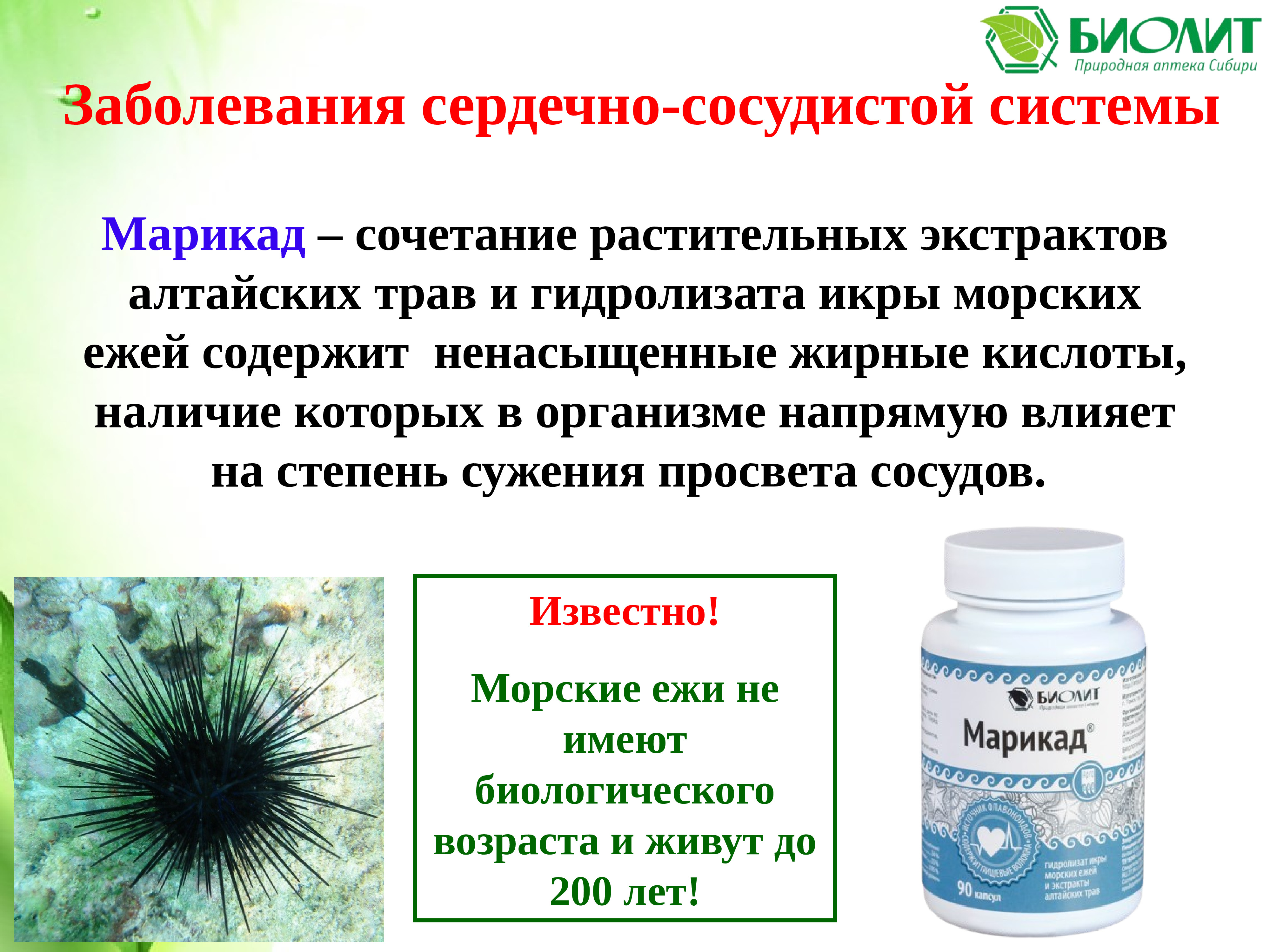 Биолит применение. Биолит логотип. Биолит применение. Фитотерапия заболеваний печени. Витамины антиоксиданты.
