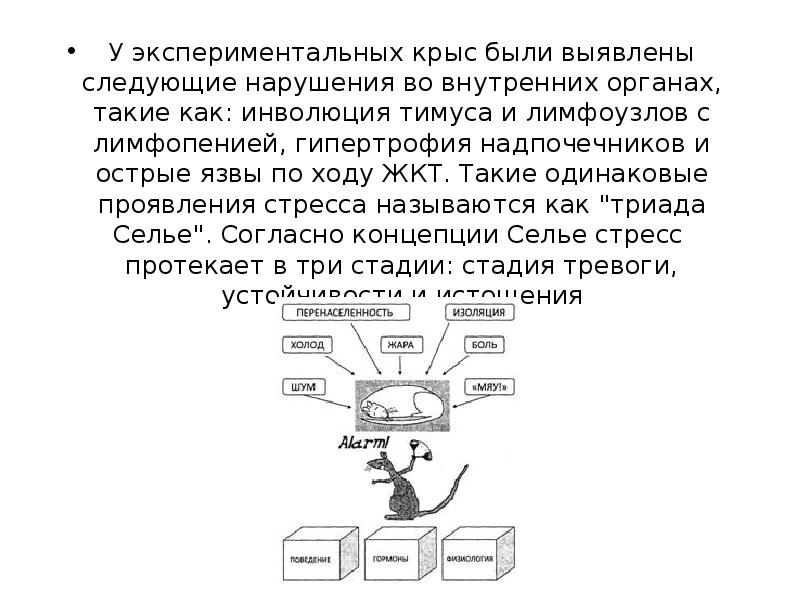 Было выявлено следующее. Инволюция тимуса и лимфоузлов при стрессе обусловлена. Инволюция тимуса при стрессе. Инволюция тимуса при стрессе обусловлена. Инволюция стресс.