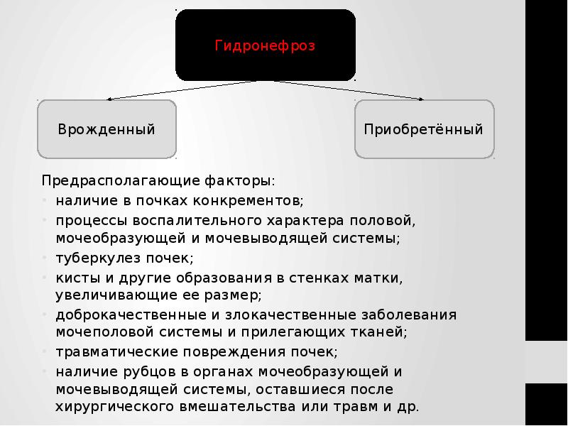 Предрасполагающие факторы: Предрасполагающие факторы: наличие в почках конкрементов; процессы воспалительного характера