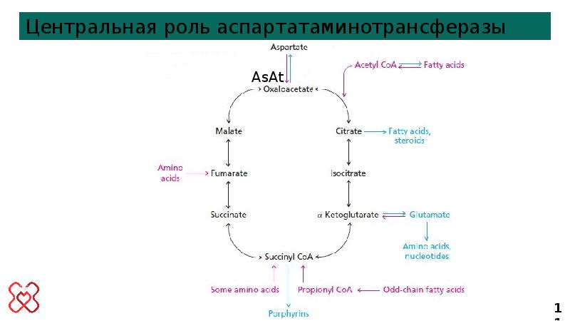 Определение аспартатаминотрансферазы повышен. Субстрат для аспартатаминотрансферазы. Достоинства метода аспартатаминотрансферазы. Аспартатаминотрансфераза. Аспартатаминотрансферазы при артрозе.