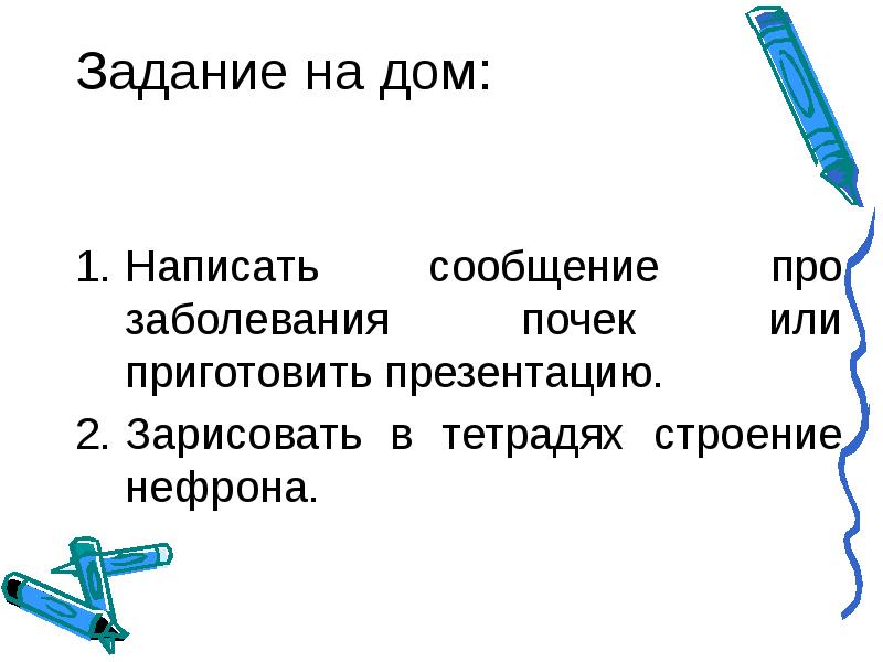 Строение тетради. Строение и функции почек презентация 8 класс. Строение и работа почек презентация 8 класс. Строение и функции почек 8 класс биология Пономарева презентация. Домашнее задание почки.